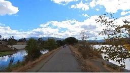 los gatos creek