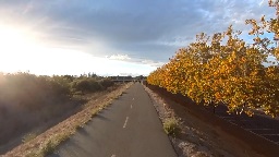 Lower Guadalupe River